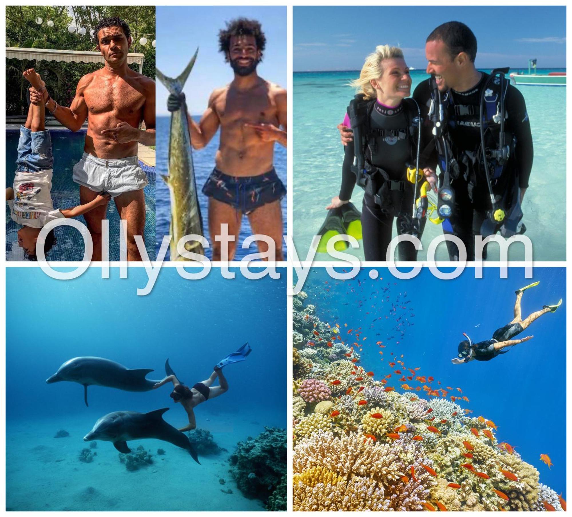הורגהדה Ollystays Mangroovy Seaview 1Br Beach And Pool Free Access מראה חיצוני תמונה