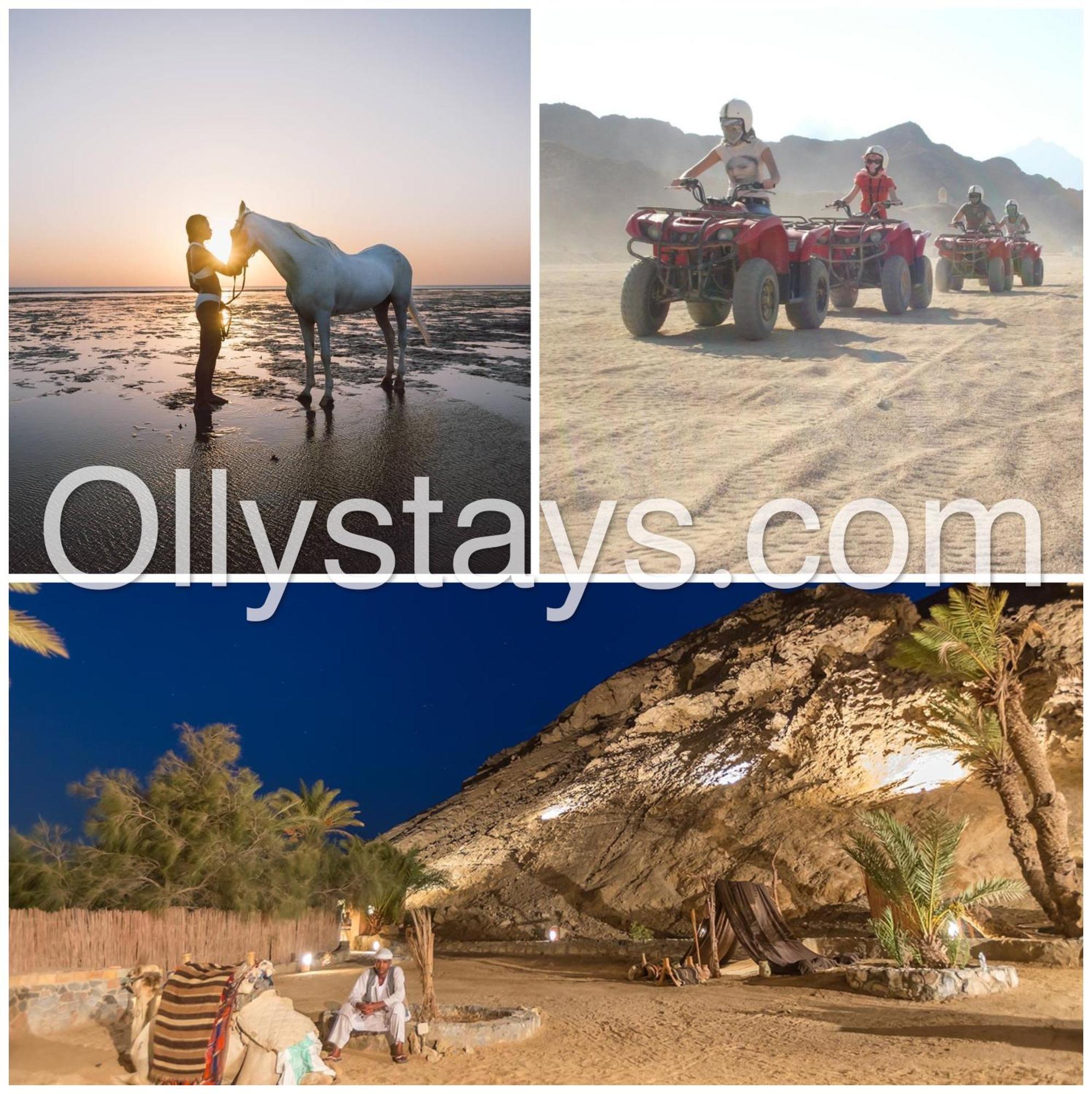 הורגהדה Ollystays Mangroovy Seaview 1Br Beach And Pool Free Access מראה חיצוני תמונה